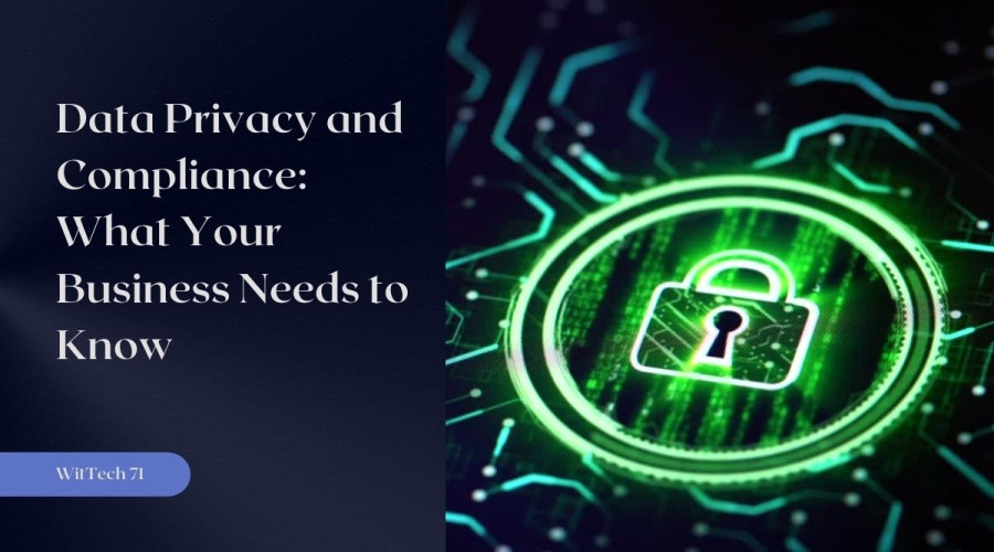 Data Privacy and Compliance: What Your Business Needs to Know