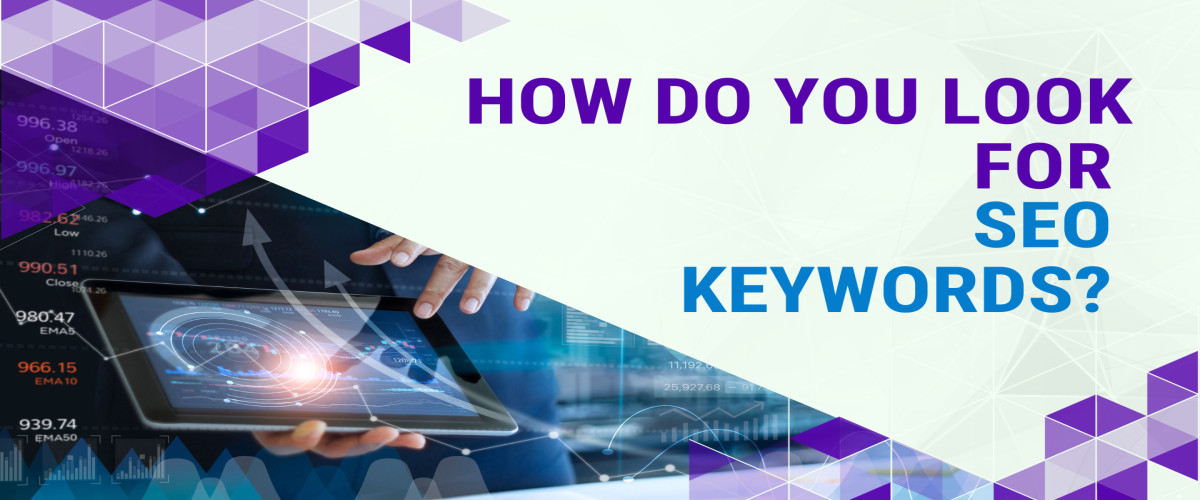 How do you look for SEO keywords?